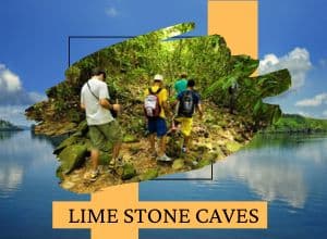 Lime Stone Cave 