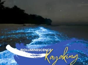 Bioluminescence Kayaking