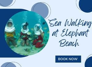 Sea Walk at elephant Beach